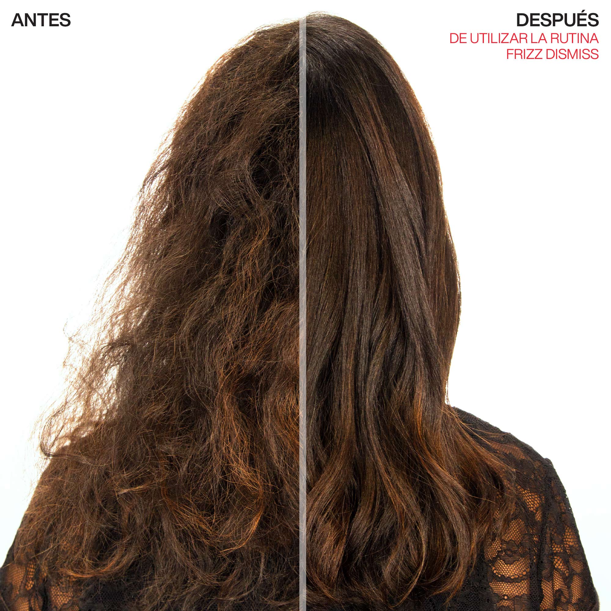 Aceite Frizz Dismiss Anti-static Oil ByRedken